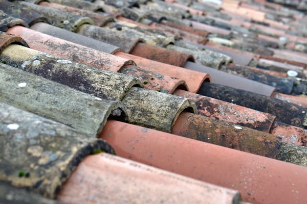 Close-up of roof tiles